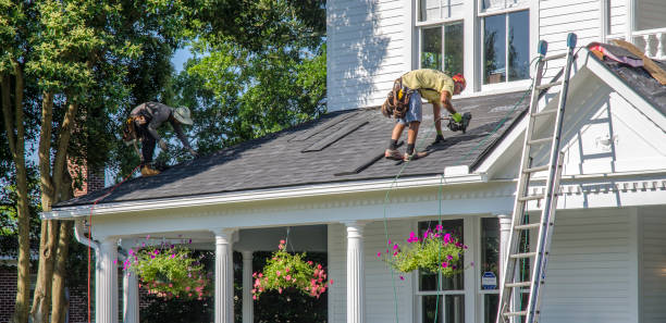 Best Roof Gutter Cleaning  in Harrisville, PA